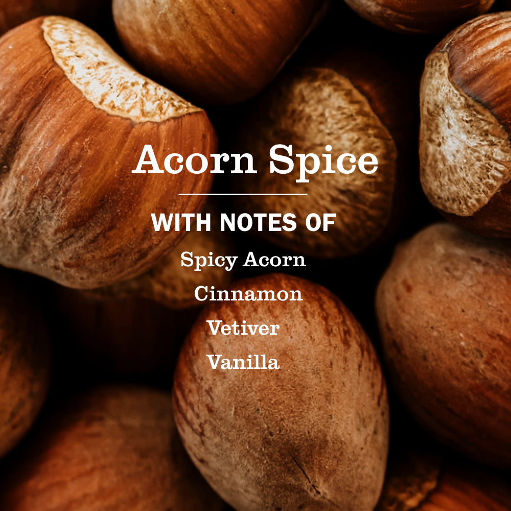 Acorn Spice Plug In Scented Oil Refill. 2-Pack - Image 4