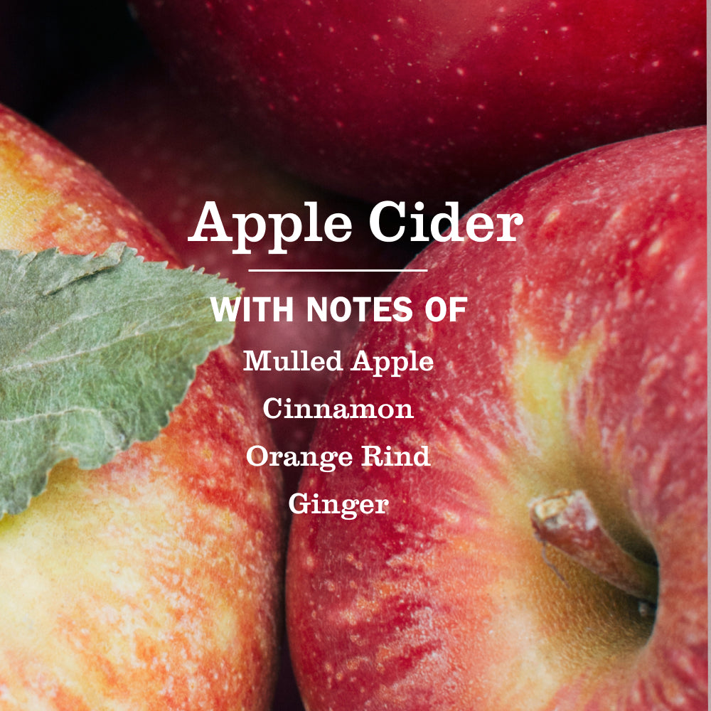 Apple Cider Plug In Scented Oil Refill. 2-Pack - Image 4