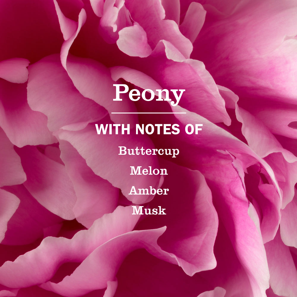 Peony Dish Soap Refill - Image 4