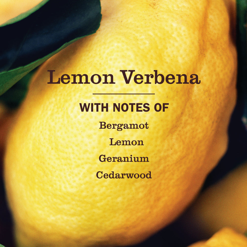 Lemon Verbena Multi-Surface Everyday Cleaner - Image 4