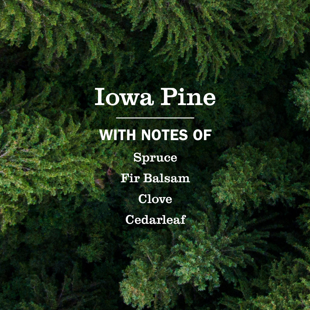 Iowa Pine Soy Candle Large - Image 2