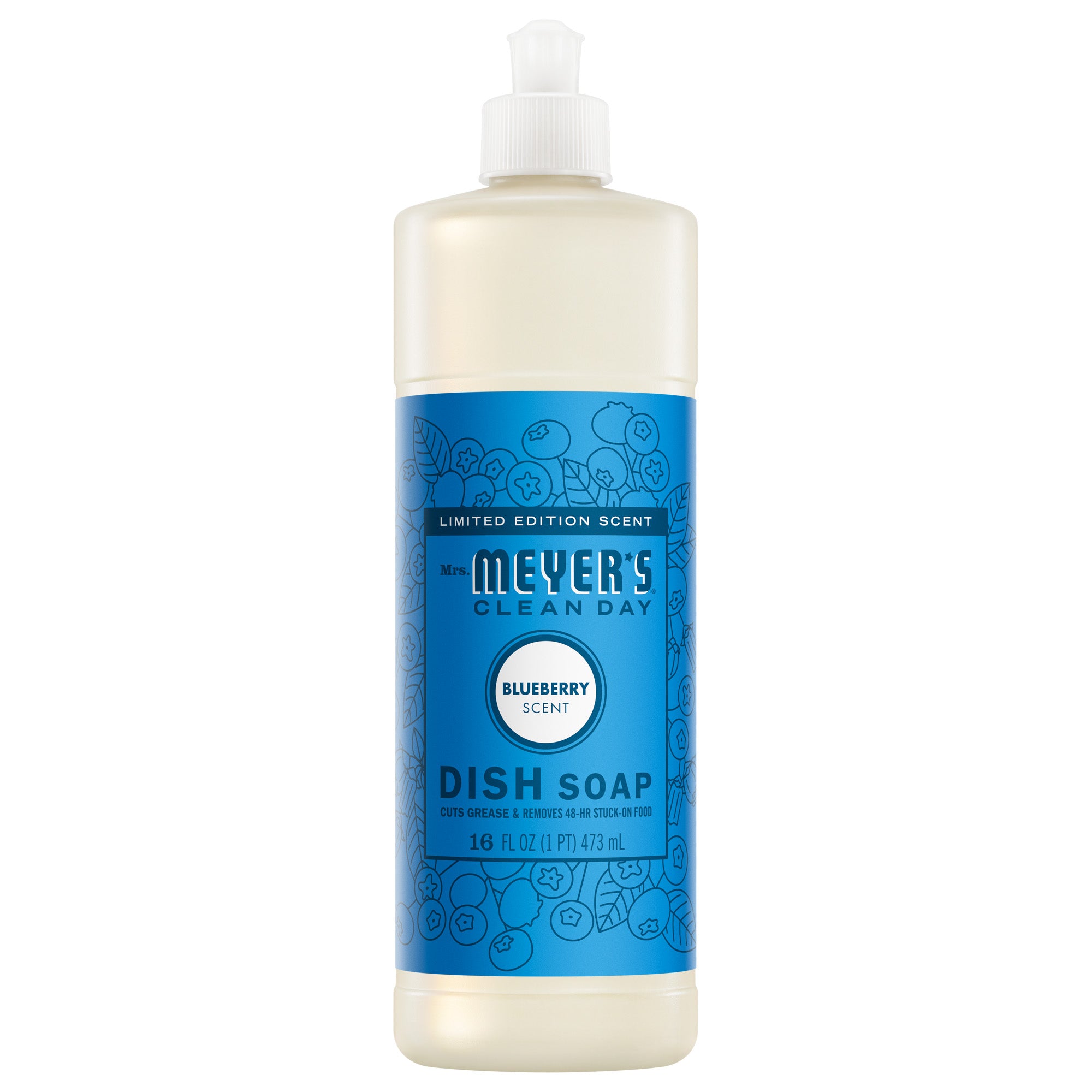 Blueberry Dish Soap