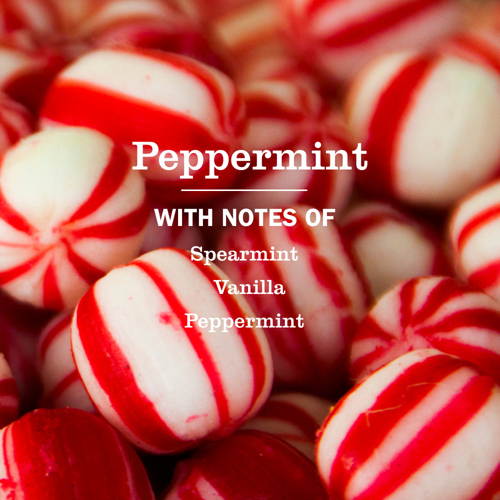 Peppermint Dish Soap - Image 4