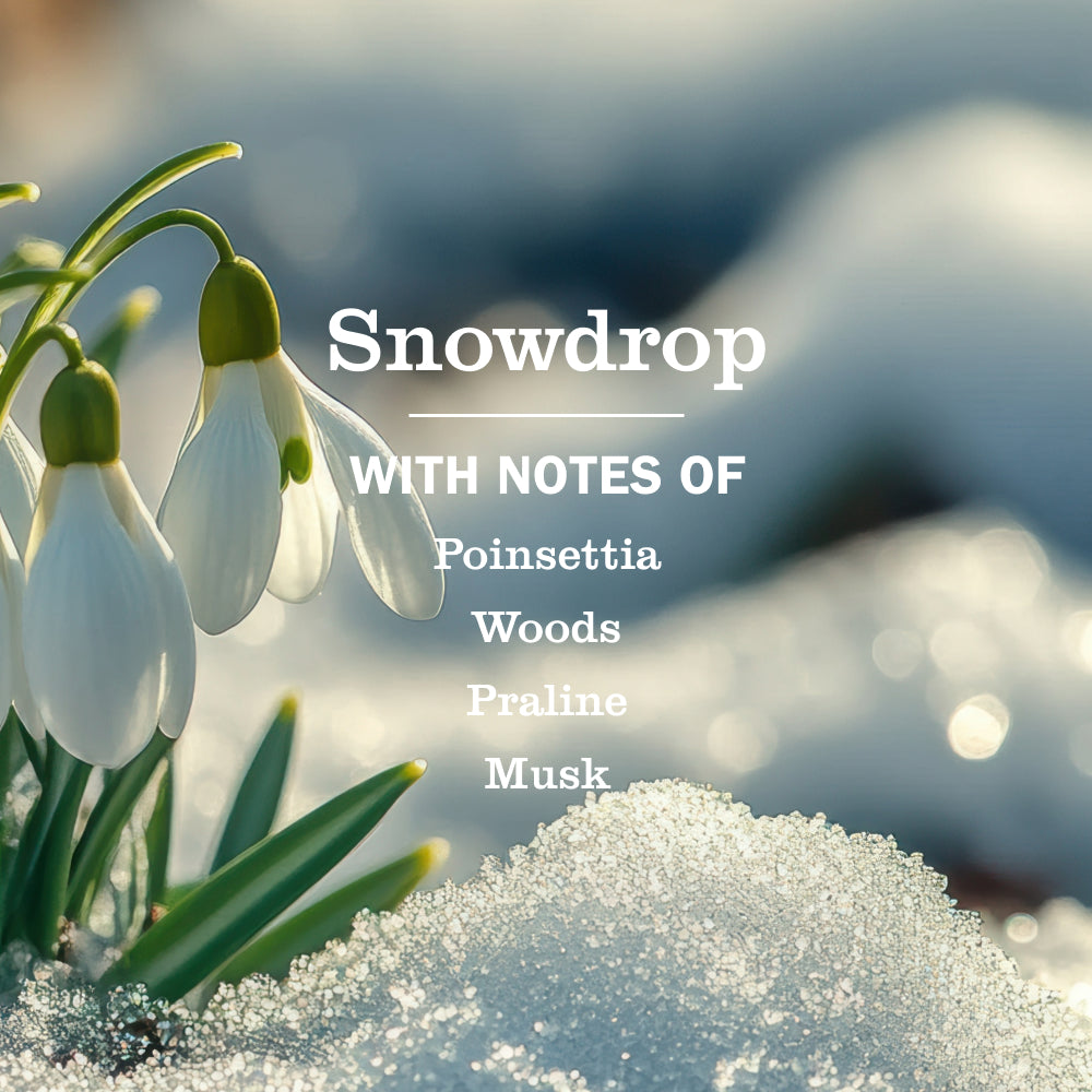 Snowdrop Room Freshener - Image 3