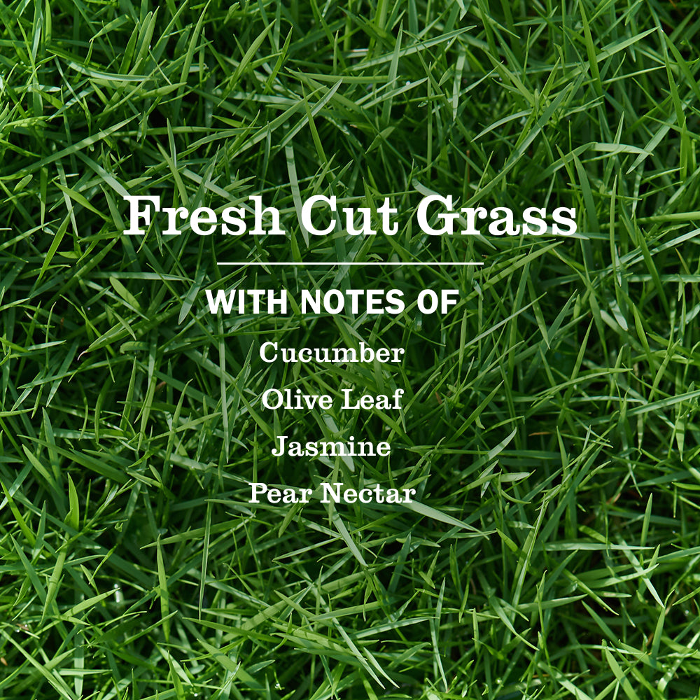 Fresh Cut Grass Multi-Surface Everyday Cleaner - Image 4