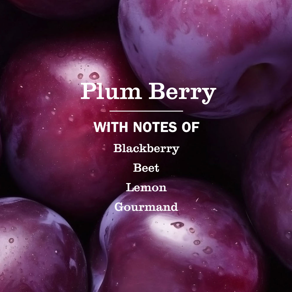 Plum Berry Liquid Hand Soap Refill - Image 4