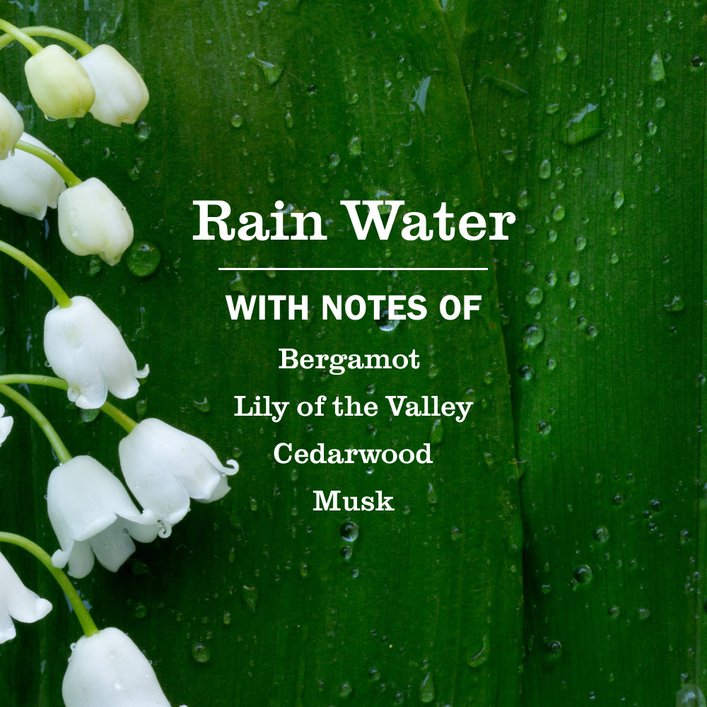 Rain Water Liquid Hand Soap - Image 4